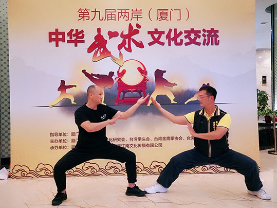 两岸“武林高手”以武会友，第九届两岸（厦门）中华武术文化交流活动在厦举办